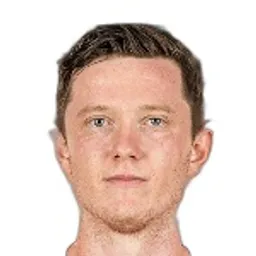 Michael Gregoritsch