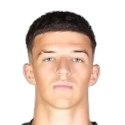 Tarik Muharemovic