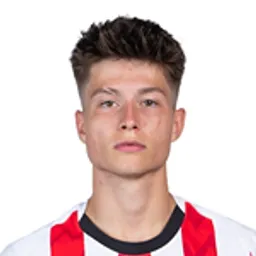 Esmir Bajraktarevic