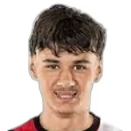 Kerim Alajbegovic