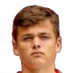Denis Visinský