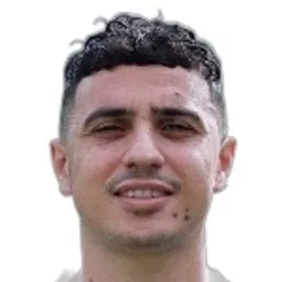 Karim Hafez