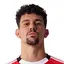 Tomás Araújo