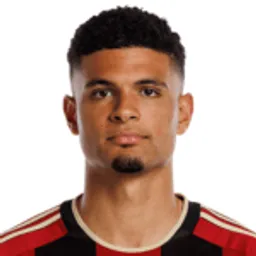 Miles Robinson